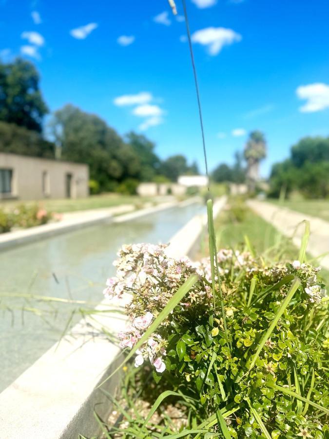 Les Madones Apartment Nimes Bagian luar foto